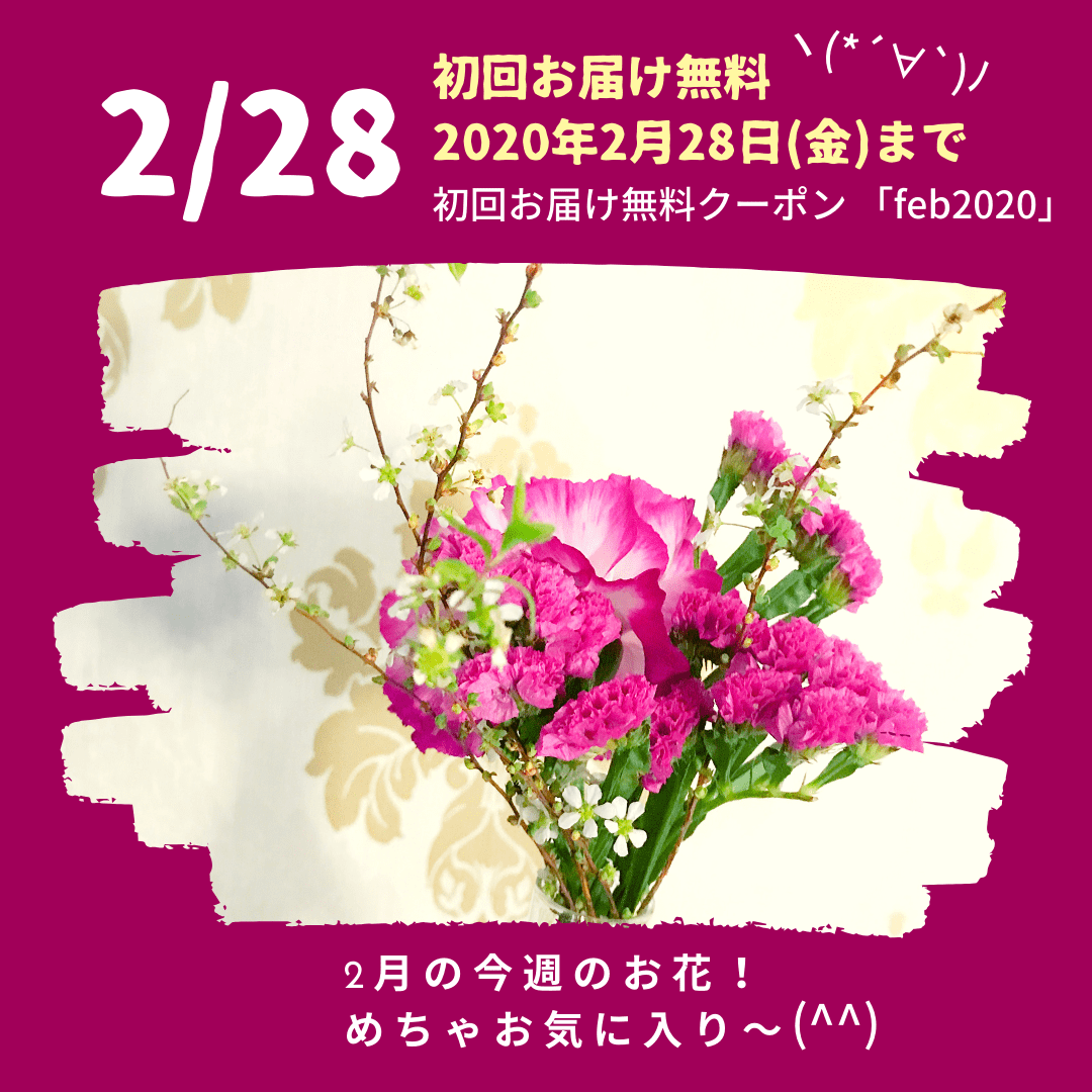 ブルーミーライフのお得なコード